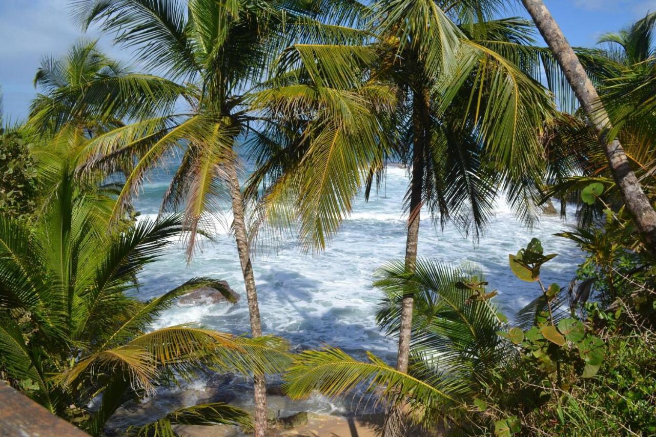 Hotel Cahuita Exterior foto